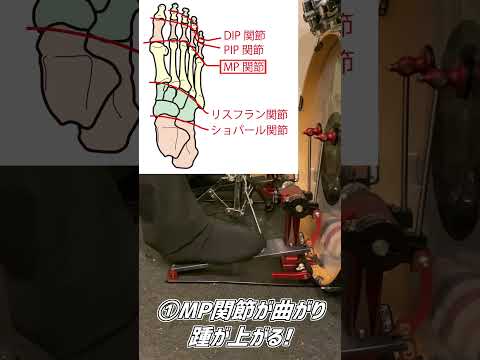 【ツインペダル初心者】上達に必須！この関節使えてる？( Double Bass Drum Lesson) #Shorts #ドラム #ドラムテクニック #drums