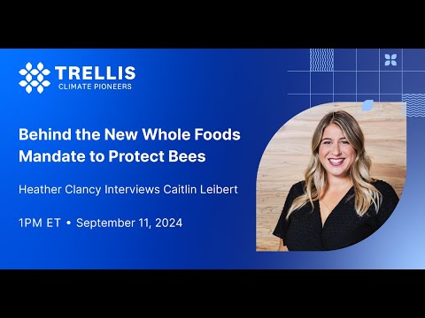 Behind the New Whole Foods Mandate to Protect Bees