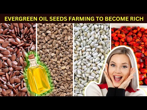 13 Highly Profitable Oil Seeds To Grow Now | Grow These High Yield Oil Seeds to become WEALTHY