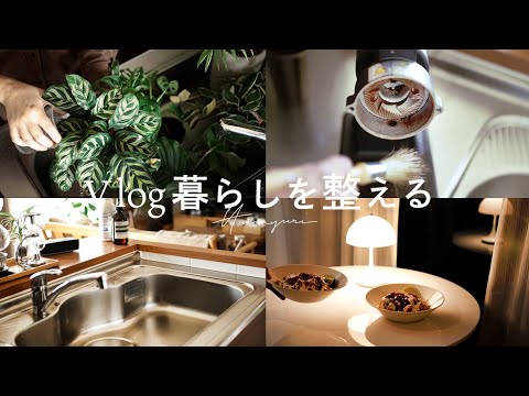 [Vlog #11] Organize your life｜Take care of plants｜Coating the kitchen sink｜Dinner