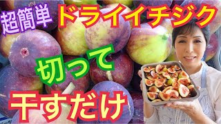 【イチジク】ドライイチジクの作り方　天日干しで簡単干しいちじく