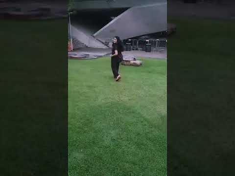 Palat | DDLJ | Shah Rukh Khan | Kajol |#shorts | #bollywood | Amu Can Dance | Singapore