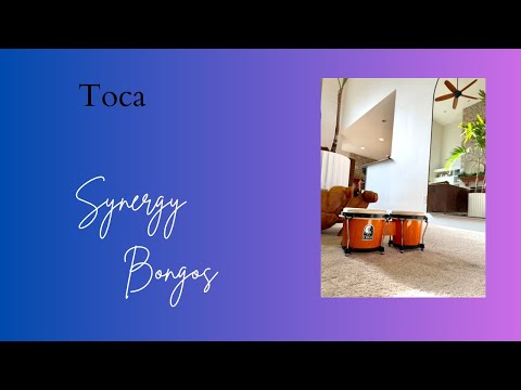 Toca Synergy Deluxe Bongos 🪘 | Wine Burst Finish | Perfect Sound for All Musicians!