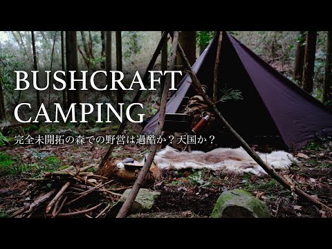 Bushcraft SOLO Camping in Wild Forest (ASMR)