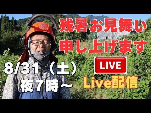 残暑お見舞い申し上げますLIVE