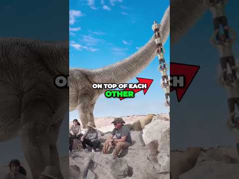 Mrbeast Find Dinosaur!!! #like #mrbeastshort #trending #mrbeast #youtubeshorts #mrbeastgaming #usa