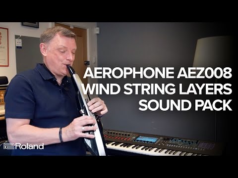 Roland Aerophone AEZ008 Wind String Layers by Matt Traum Sound Examples