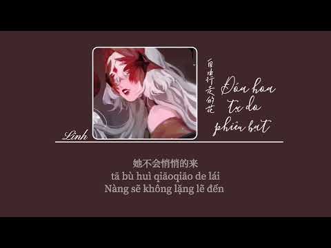 [Vietsub] Đóa hoa tự do phiêu bạt • Tát Đỉnh Đỉnh, Châu Thâm ♪ 自由行走的花 (Live) • 萨顶顶/周深