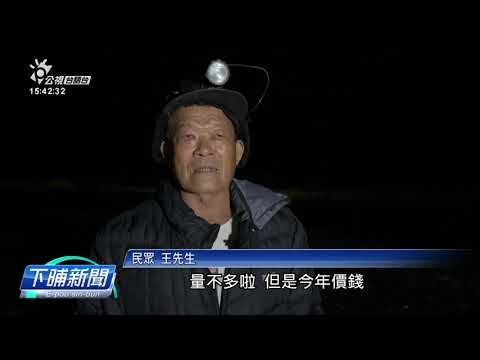 中、日、韓也咧飼鰻仔栽 臺灣市價賰60～70箍 | 公視台語台 | 20241224