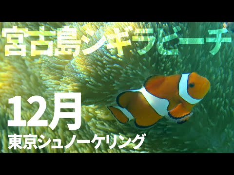 ＃２２宮古島シギラビーチでシュノーケリング（2019年12月）【東京シュノーケリング】