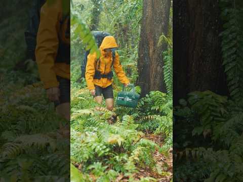 Camping in the rain #camping #asmr #campinglife #campinginforest