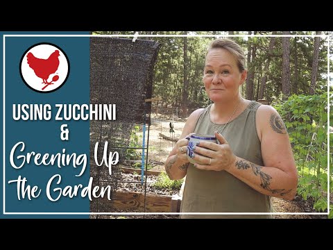 Using Zucchini and Greening Up the Garden | Vlog