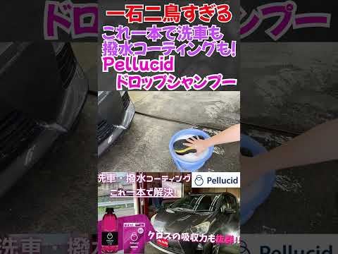 一石二鳥！撥水コーティングと洗車が同時に出来ちゃう！優秀カーシャンプー #洗車用品 #洗車 #shorts