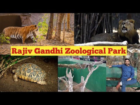 Rajiv Gandhi Zoological Park Pune | Katraj Zoo | Katraj Snake Park | Pune Vlog | VlogGoals