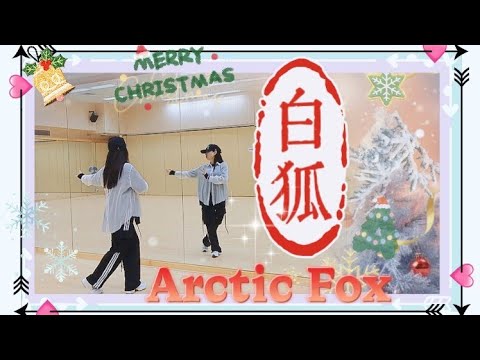 【課堂實拍】🎄白狐🎄Arctic Fox🎄完整版🎁🎄#星璇滙舞團隊 #參考網絡 #linedance #practice #Chinese line dance #christmassy