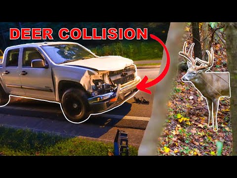 HUGE BUCK at 30 YARDS!! (HIT BY TRUCK!) Crazy Story