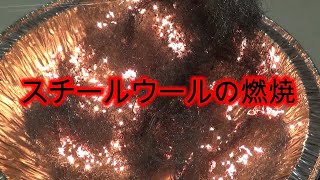 スチールウールの燃焼【短編実験動画 No.37】