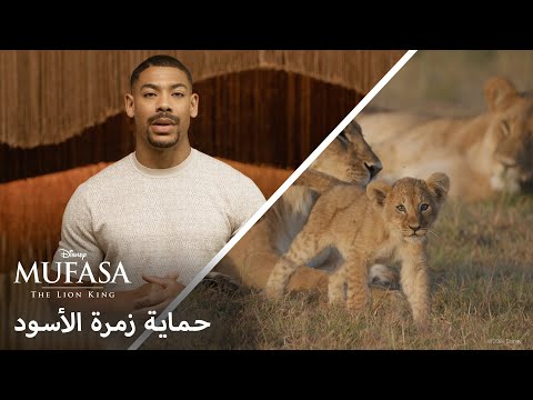 Mufasa: The Lion King | Protect the Pride