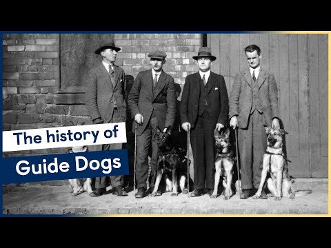 The history of Guide Dogs – featuring our very first guide dog partnerships