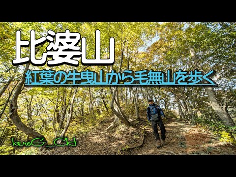 【比婆山 Autumn leaves of Mt. Hiba 】紅葉の牛曳山から毛無山を歩く