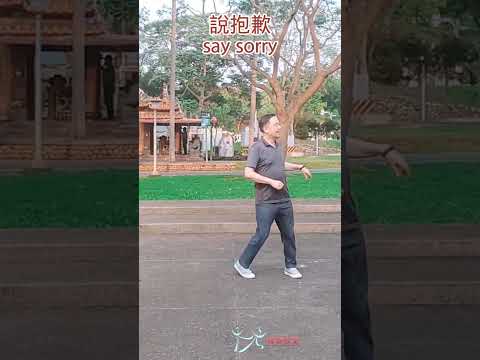 【元宏排舞教室】短片-23-3 說抱歉 排舞 / say sorry line dance