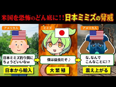 進撃のワーム！米国を破壊している日本ミミズがヤバすぎる【ずんだもん＆ゆっくり解説】