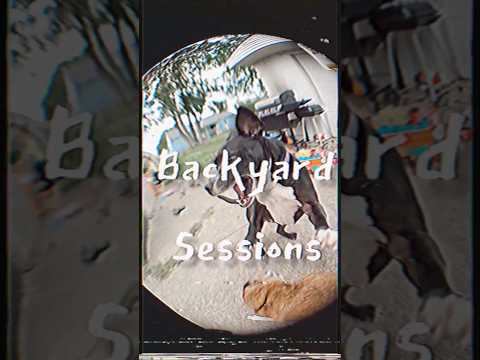 Backyard Sessions #fingerboarding #fingerboardingisfun #fingerboarder #fingerboardtricks #dwarfdecks