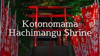 Kotonomama Hachimangu Shrine / Collaboration with ”Goodbyes Are Emotion” / 事任八幡宮をシネマティックに撮影しました