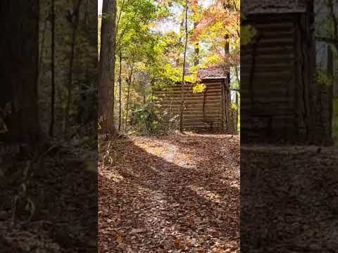 ASMR Autumn Leaves Meditation 🍂🍁 #autumn #fall #leaves #meditation #meditate #season #change #relax