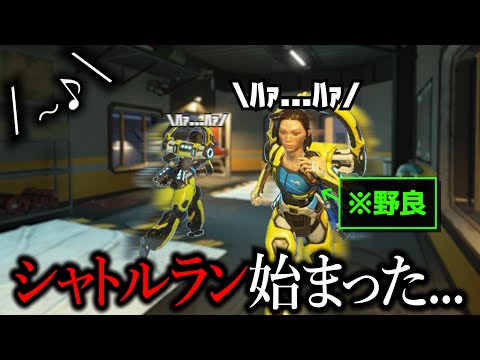 ランク中にシャトルランしだす可愛い野良さん達【APEX】