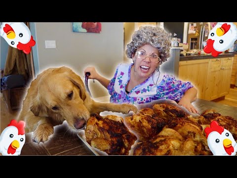 Dogs Steal Grandma's Christmas Turkey Dinner