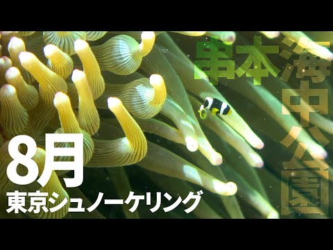 ＃１９串本海中公園でシュノーケリング（2019年8月）【東京シュノーケリング】