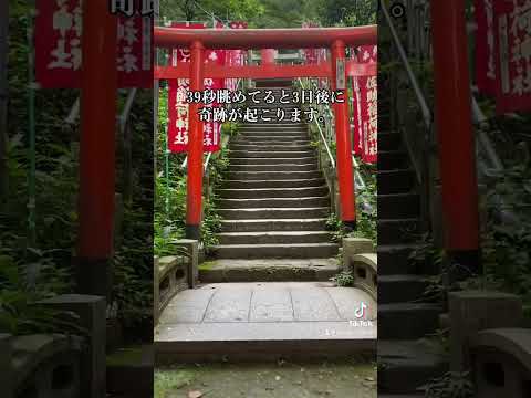 ⛩️39秒眺めてると3日後に奇跡が起こります。