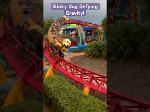 Slinky Dog Dash Defying Gravity #slinkydogdash #wickedmusical #wicked