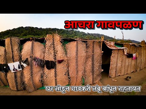 3 रात्रीसाठी आचारावसिय घर सोडून तंबू बांधून राहतायत | गावपळण | Traveling Harry