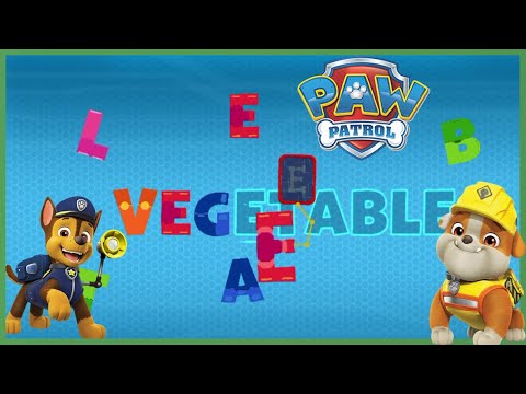 Paw Patrol ABC Learning Preschool - ABC Dictionary for Kids