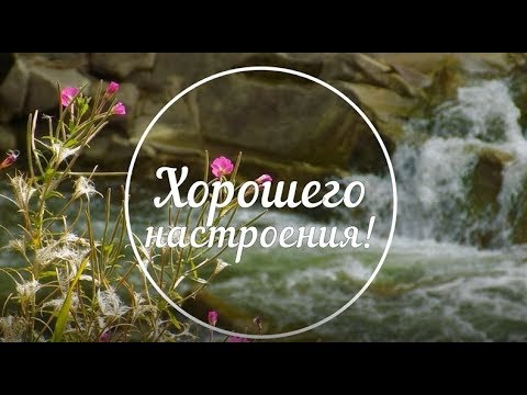 Хорошего настроения! Желаю всем хорошего настроения! Отличного дня! День Пожелания Настроение