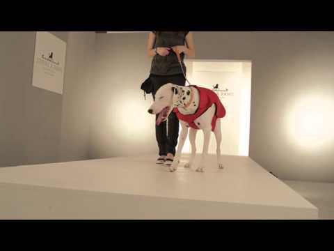 Strike-A-Paws 2014 - Fleece Twill Coat Red