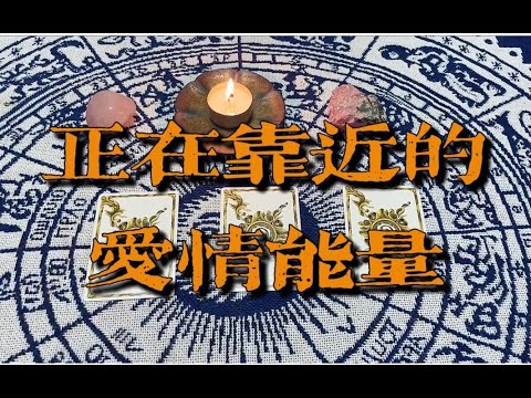 正在吸引的爱情能量 ｜小滋润扑克牌 - pick a card