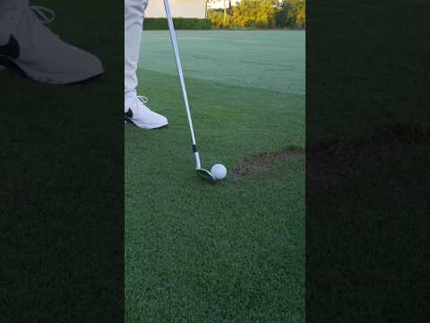 Rory usingTaylorMade's P7MB iron 🔥 #shorts #golf #views #viral #satisfying