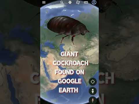 Giant Cockroach Found🤯On Google Earth|Google Map Secrets|