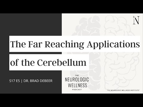 The Far Reaching Applications of the Cerebellum