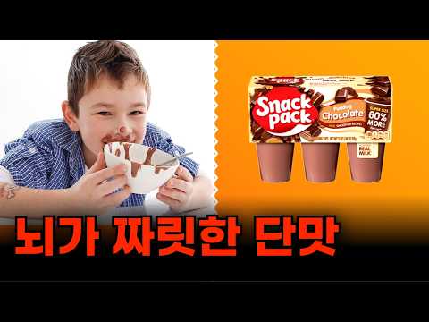 미국 푸딩의 짜릿한 단맛 스낵팩 푸딩