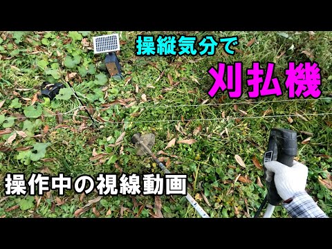 【刈払機】草刈り作業視線動画