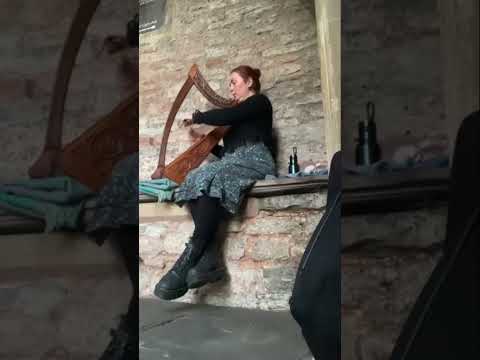 Busking in #Wells ✨ #meditative #relaxing #ambient #soundhealing #musicisthetaputic #harpist