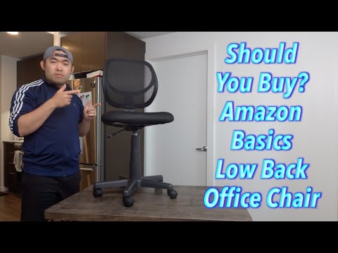 Should You Buy? Amazon Basics Low Back Office Chair