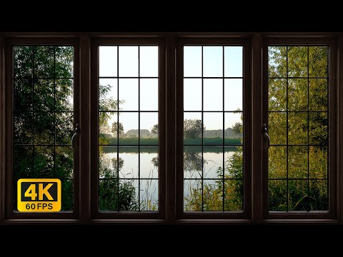 4K Lake window view during sunrise with birds calling - Relaxing, Calming, Ambience