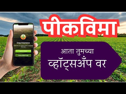 आता तुमचा पीकविमा स्टेटस पहा व्हॉट्सॲप वर #Pikvima