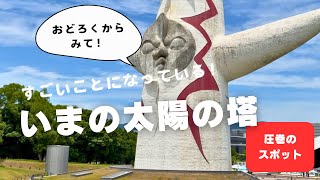 #92   【オススメスポット！】『太陽の塔』のなかは、異空間❗️予約制です