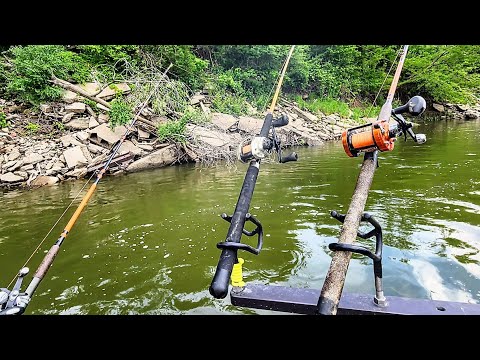 BIG FISH Live Under These CONCRETE SLABS!! (Livebait fishing)